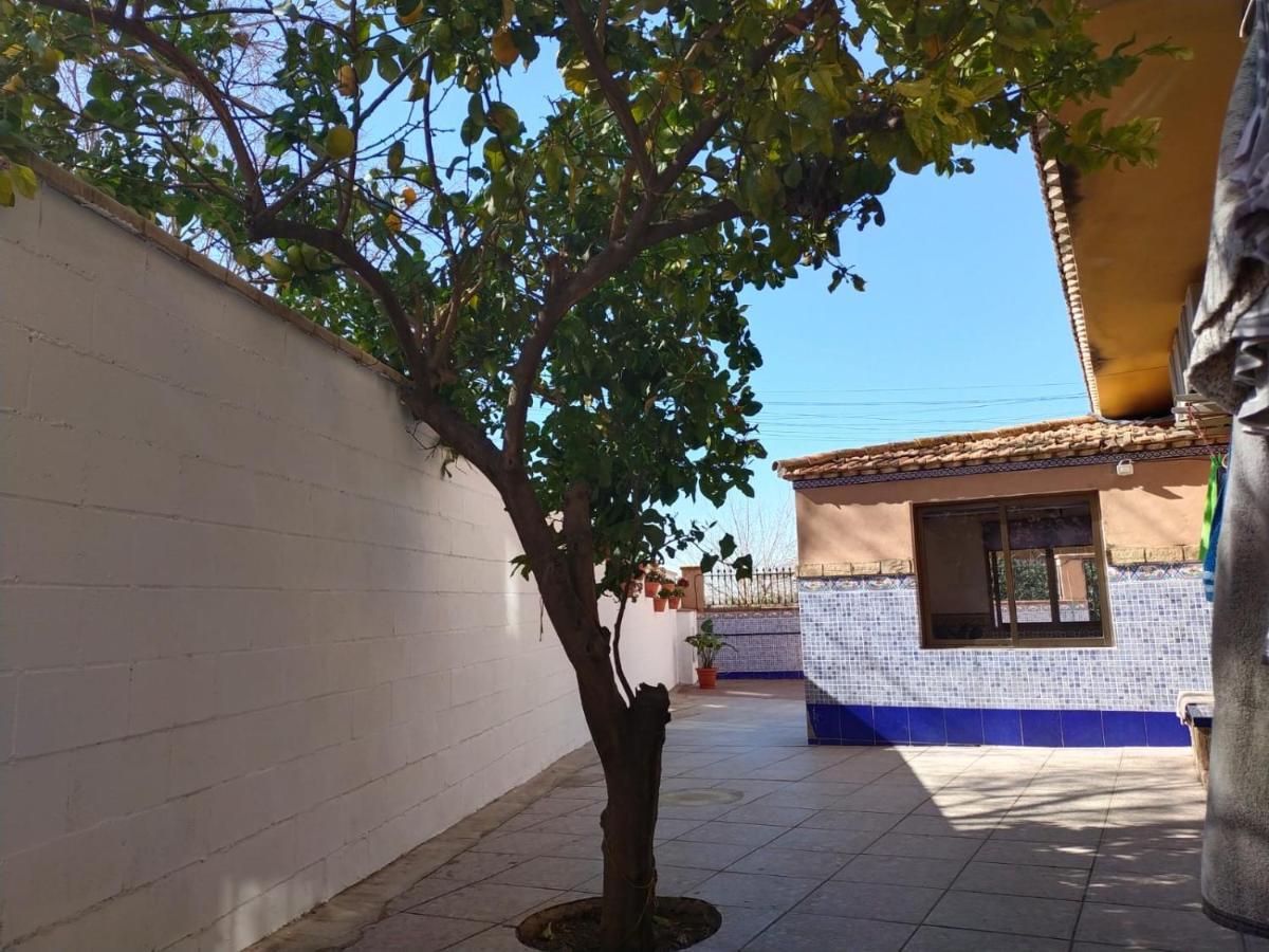إشبيلية Casa Cortijo Olivar المظهر الخارجي الصورة